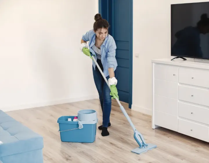 Femme de ménage Taintrux